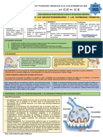 Ficha de Seman 23