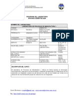 Programa Lab. Ing PM1 2-2020