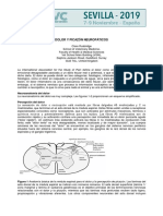 Dolor y Picazón Neuropáticos