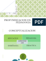 Conceptualización de la pedagogía y didácticas específicas