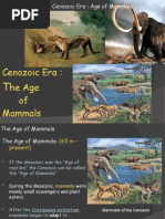 Cenozoic Era