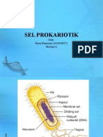 Sel Prokariotik (Ririn Pauweni)