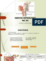 NC XII Hipogloso: Anatomía, trayecto y lesiones