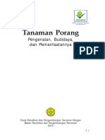 Porang PDF