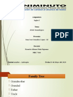 Arbol Genealogico CP