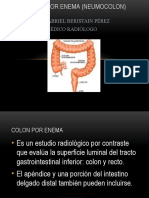 Colon Por Enema