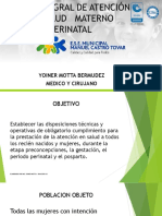 Ruta Integral de Atención en Salud Materno Perinatal PDF