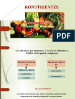 Los Micronutrientes