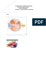 ejercicio_de_localizacion_sistemas_sensoriales