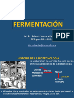 Fermentaciòn PDF