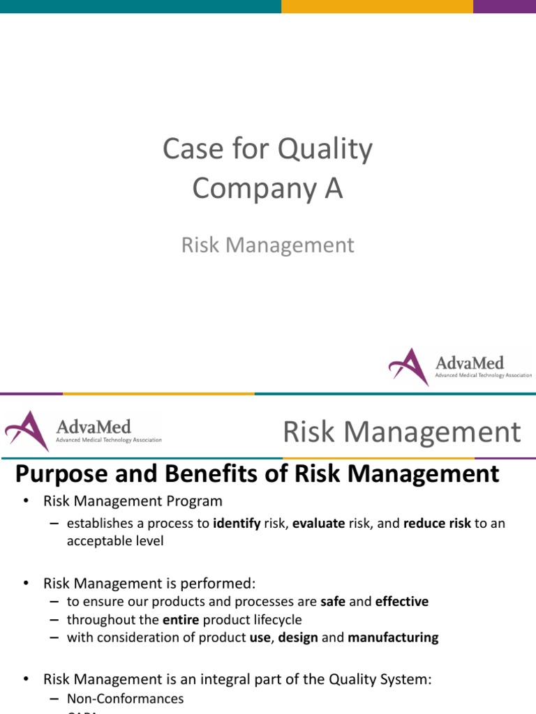 Risk Management Example - Company A | PDF | Risk Management | Quality ...