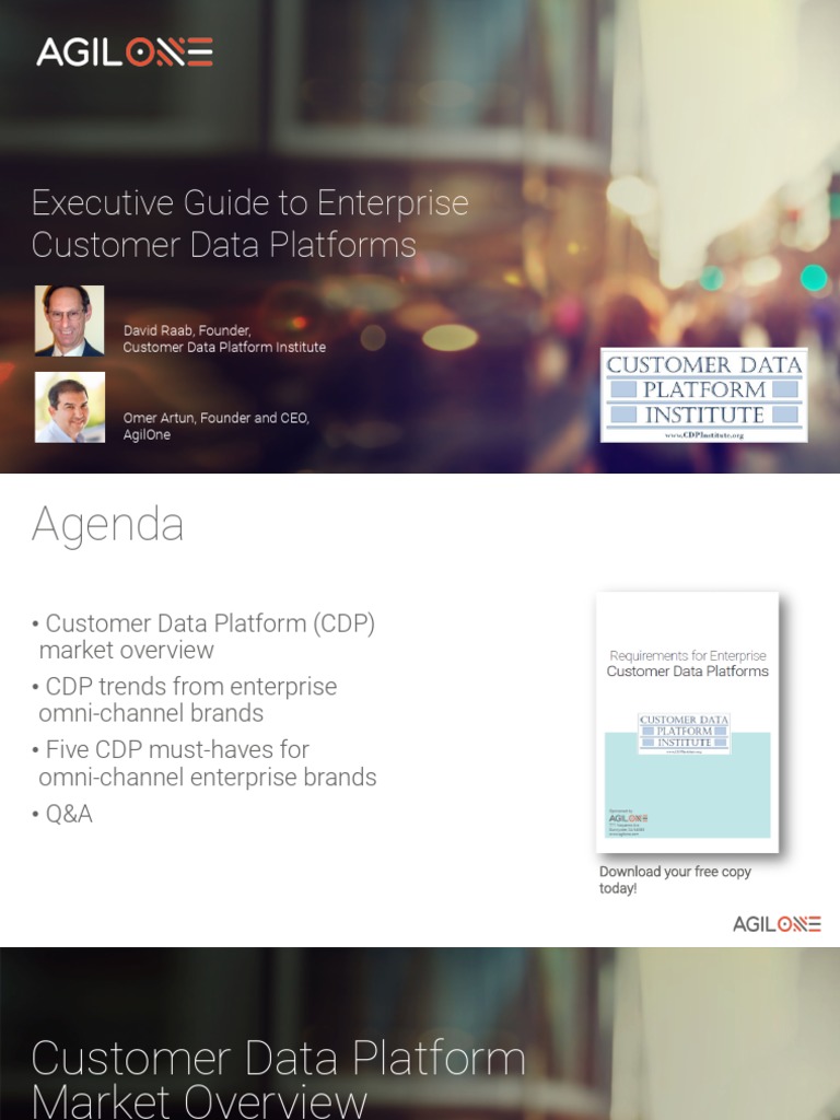 Enterprise CDP Executive Guide | PDF | Customer Relationship Management ...