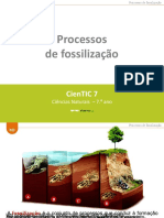 Processos fossilização