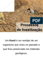 Processos de fossilização