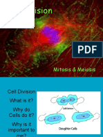 Cell Division Mitosis Meiosis 1225581257073362 9 PDF