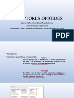 (Tem 4) Receptores Opióides