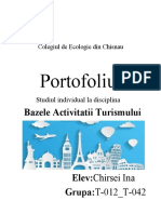 Portofoliu: Bazele Activitatii Turismului