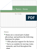 Botany Basics - Stems: by C. Kohn