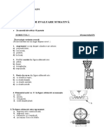 Test de Evaluare Sumativă