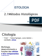 2.1 - Métodos Histológicos