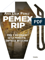 pemexrip_cap1