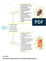 Introducción A La Célula