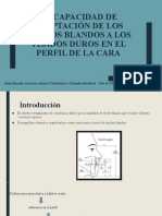 Adaptabilidad de Los Tejidos Blandos A Los Tejidos Duros en El Perfil Facial