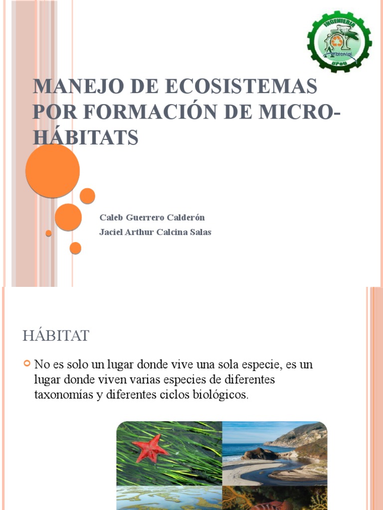 Formación y Ejemplos de Microhábitats | PDF | Ecosistema | Habitat