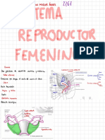 8.del Toro Colin Miguel Ángel 2 PDF