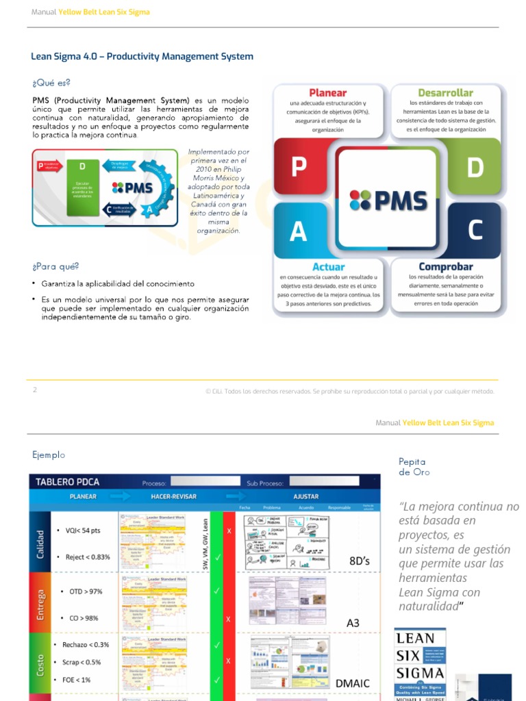 Lean Sigma 4.0 - PMS | PDF