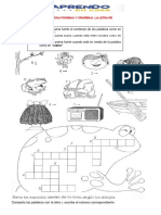 Uso de La RR PDF