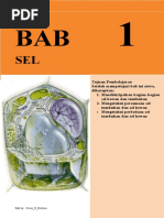 Download Bab 1 Sel Esis by Ramadhan Adityo Kuncoro SN47749025 doc pdf
