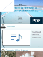 Presentacion de SIM (2).pptx