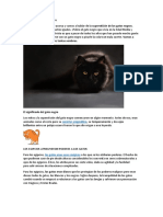 Superstición Del Gato Negro