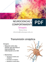 Transmisión - Sináptica