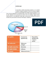 CARCINOMA BASOCELULAR Final Final