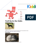 Tail Facts For Kids: Function