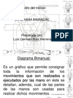 Diagrama Bimanual-Presentacion 8 PDF