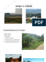 Campo e Cidade