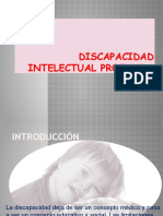 Diapositiva de Discapacidad Profunda Grupo