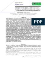 Kurma 2 PDF