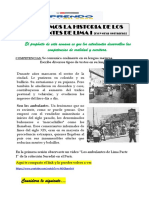 Ambulantes 1 Milagros Montesinos.pdf