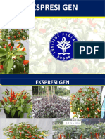 8 EKSPRESI GEN - P Biotek TIB 2020 PDF