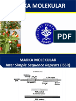 9 MARKA MOLEKULER - Scoring