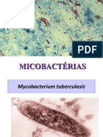 Micobactérias causadoras de tuberculose