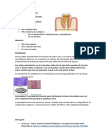 Hueso Alveolar y Osteoblastos