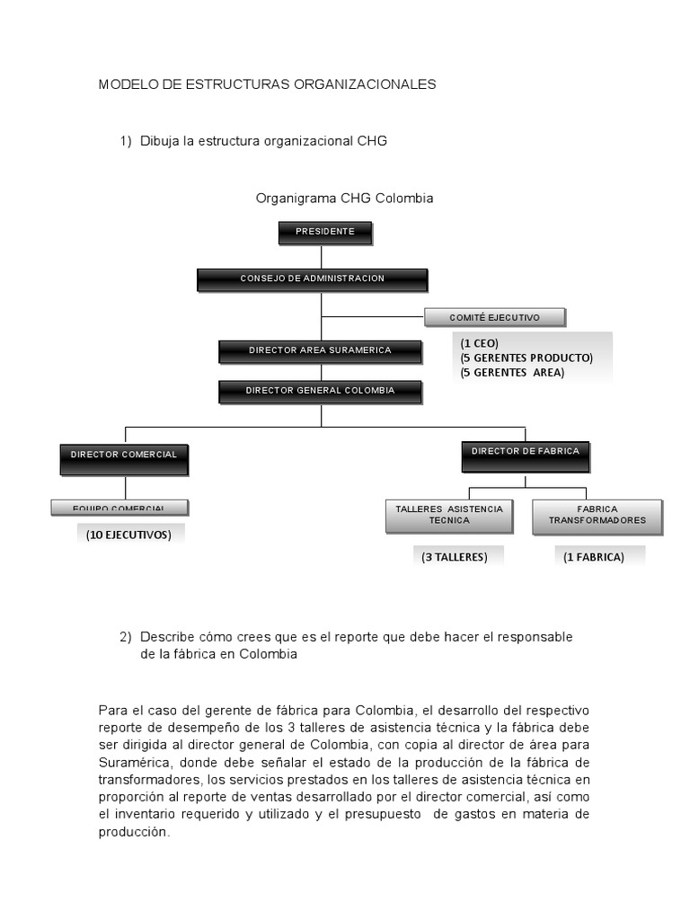 Estructura Organizacional de CHG y Brinks | PDF | Política | Presupuesto