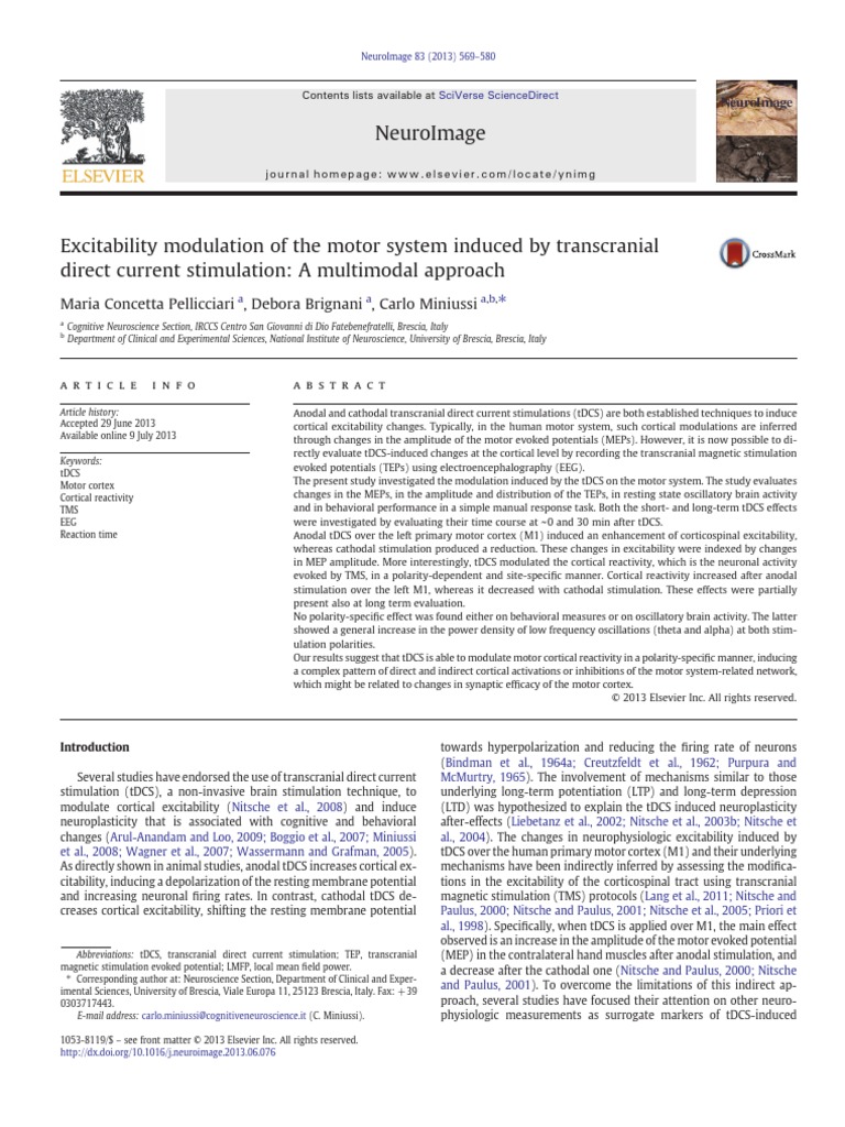 Excitability Modulation of The Motor Sys PDF | PDF ...