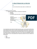 420-2014-02-18-18 Fracturas de pelvis.pdf