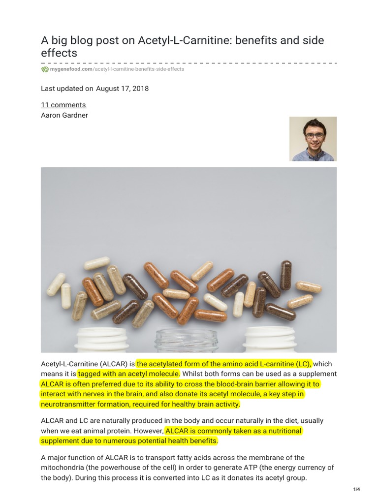 Gardner ('18) A Big Blog Post On AcetylLCarnitine Benefits and Side